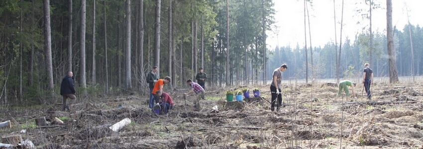 OJSC “AGAT – Control Systems” took part in republican voluntary action “Week of forest”, carried out at the initiative of Ministry of Forestry of the Republic of Belarus.   The action is held in conjunction with Year of small Motherland and the 75th anniv