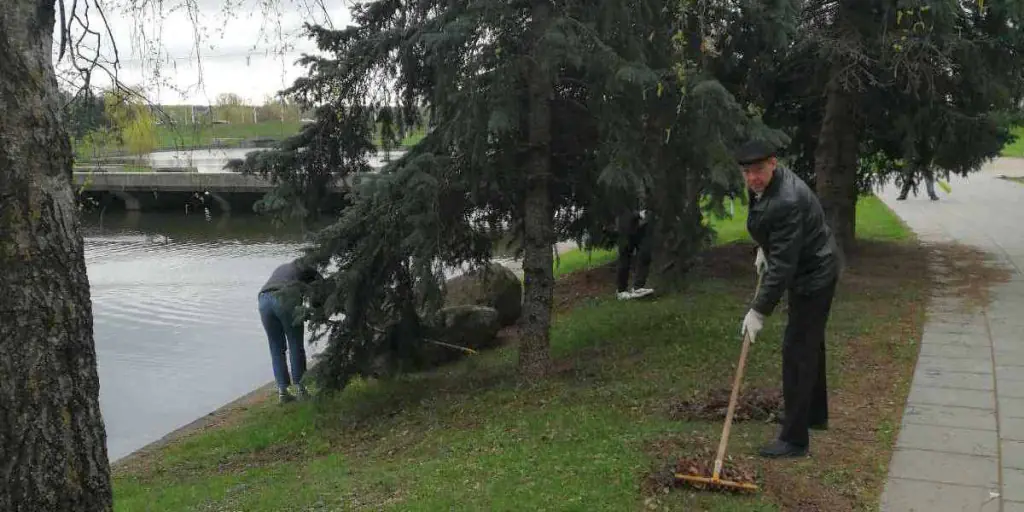 Участие в субботнике – добрая и полезная традиция